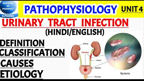 Urinary Tract Infection Pathophysiology Pharma Lectures Youtube