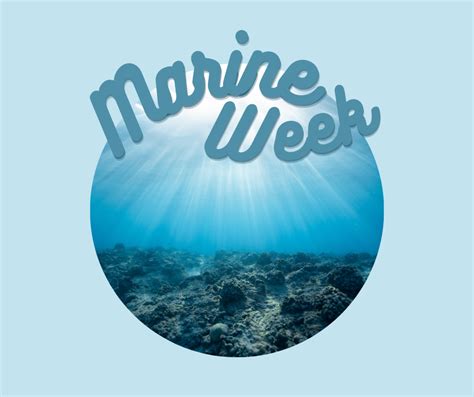 Henley Naturals Clean Beaches For National Marine Week