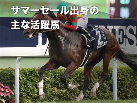 サマーセール出身の活躍馬一覧 世界のモーリス・最速馬カルストンライトオなど 競馬まとめ Netkeiba