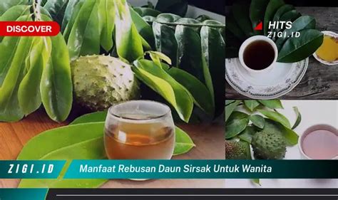 Temukan Manfaat Mandi Daun Kelor Yang Jarang Diketahui