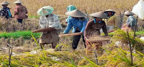 Hadapi Kemarau Panjang Kabupaten Klaten Launching Gerakan Kemis Ora