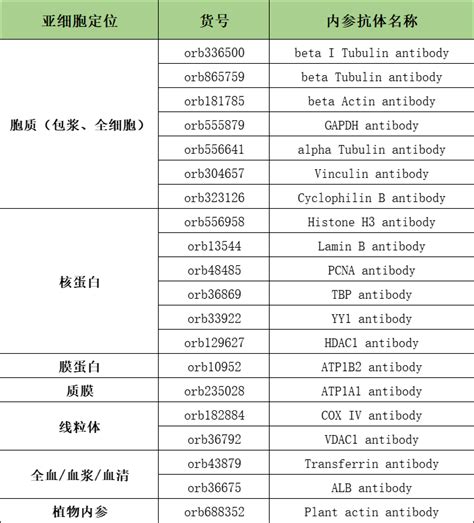 想问一下大家，我的目的蛋白和内参相差8kda，可以一起孵抗体嘛 知乎