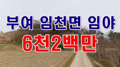 부동산 경매물건 충남 부여 임천면 탑산리 임야 개간가능한 매력적인 물건 Youtube