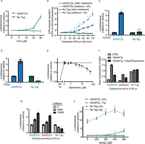 Gluc Asartdl Secretion Is Triggered By Er Calcium Depletion A