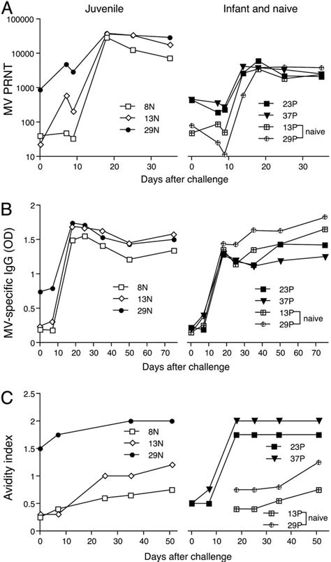 Modulation Of Disease T Cell Responses And Measles Virus Clearance In