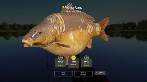 Russian Fishing 4 Trophy Mirror Carp Amber Lake YouTube