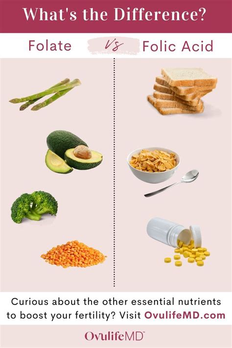 The Difference Between Folate And Folic Acid Folate Rich Foods Fertility Foods Folic Acid