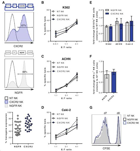 Retroviral Transduction And Functionality Of Nk Cells A Top And