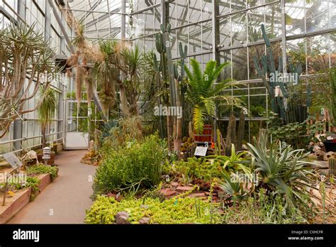 Amsterdam Hortus Botanicus Botanical Garden Inside Greenhouses