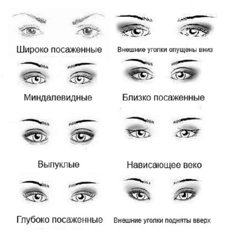 Узнаем свою форму, тип, размер, посадку и расположение глаз