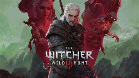 Cd Projekt Red To Remove Detailed Genitals Introduced In The Witcher 3