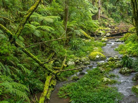 Brindle Creek Circuit Dean Trezise Flickr