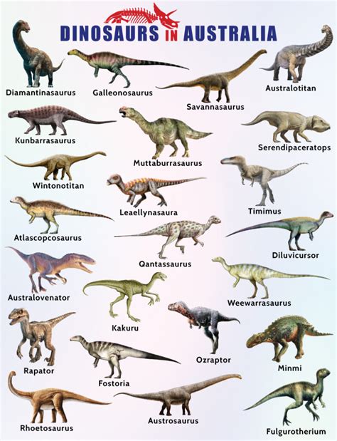 List Of Dinosaurs In Australia Facts With Pictures