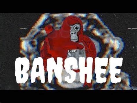 My Encounter With Banshee The Gorilla Tag Ghost Someone Got Doxxed