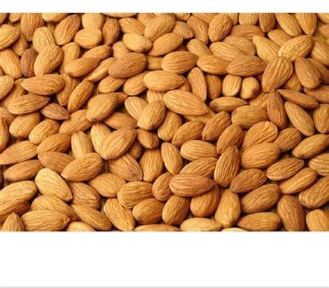 Organic Dried Almond Nuts Chamunda Import Export Pvt Ltd Co