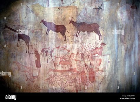 Prehistoric cave paintings of wild animal Stock Photo - Alamy