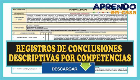 Registros De Conclusiones Descriptivas Por Competencias