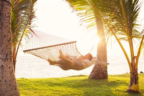 A Couple In A Hammock Stock Photos Royalty Free A Couple In A Hammock