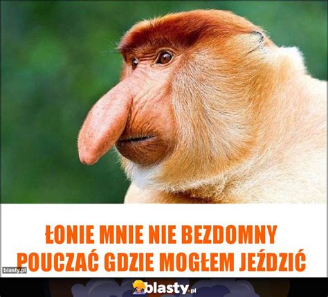 Łonie mnie nie bezdomny pouczać gdzie mogłem jeździć memy gify i