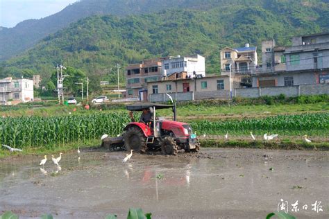 霞浦：乡村有了“田管家” 节本增效富农家新宁德