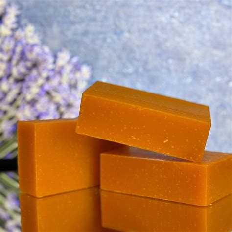 Citrus Bliss Bar Soap Natural Soap Bar Etsy