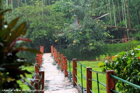 5 Reasons To Do A Spice Plantation Tour In Goa Thrilling Travel