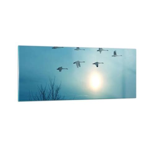 Impression Sur Verre 100x40cm Tableaux Image Photo Cigogne Oiseau