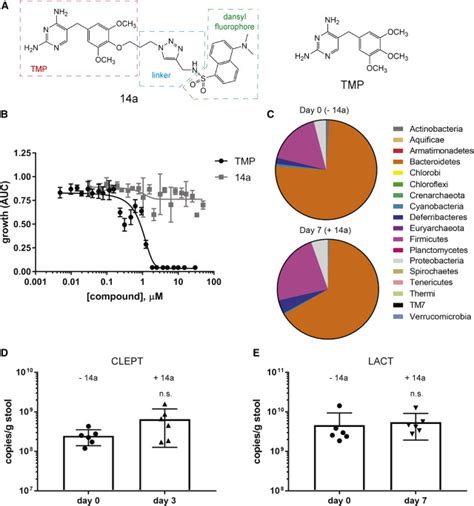 Non Antibiotic Small Molecule Regulation Of Dhfr Based Destabilizing