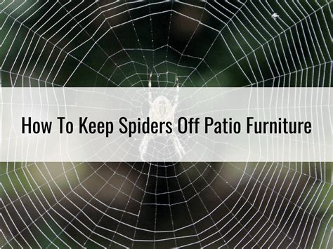 How To Keep Spiders Off Patio Furniture Storables