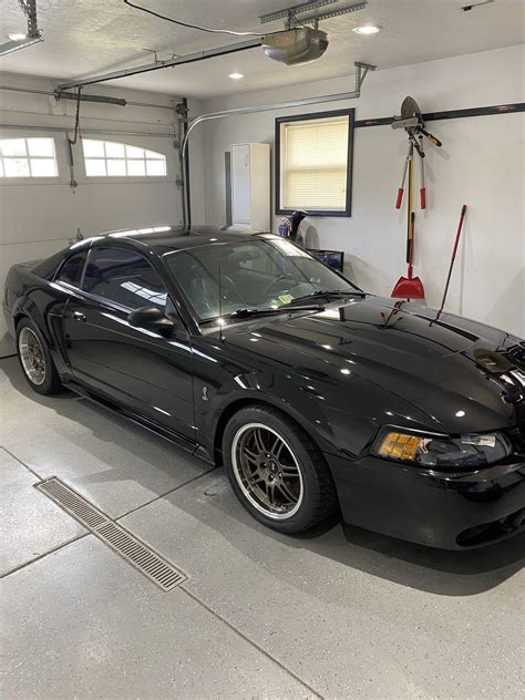 1999 Svt Cobra Black D1sc Built