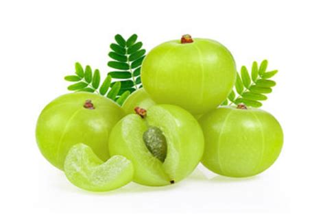 Health Benefits Of Indian Gooseberry Or Amla