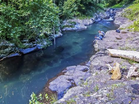 Lamington National Park Parks And Forests Department Of Environment And Science Queensland