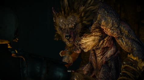 Witcher3 Werewolf 01 By Giuseppedirosso On Deviantart