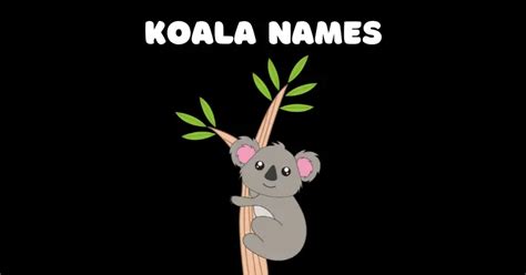 Get Inspired Unique And Whimsical Koala Names