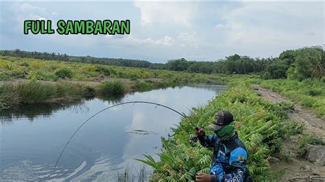 Strike Pribadi Full Sambaran Ganas Sadis Brutal Umpan Lewat Langsung Di