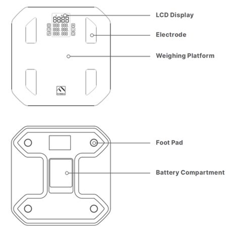 Body Composition Scale