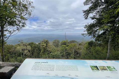 Khao Yai National Park The Ultimate Camping Guide