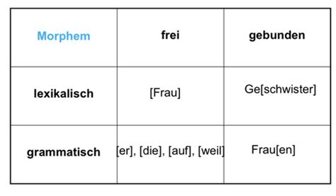 Morphologie Karteikarten Quizlet