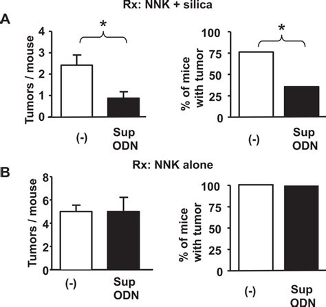 Effect Of Sup Odn On Lung Tumor Development In Mice Treated With Nnk