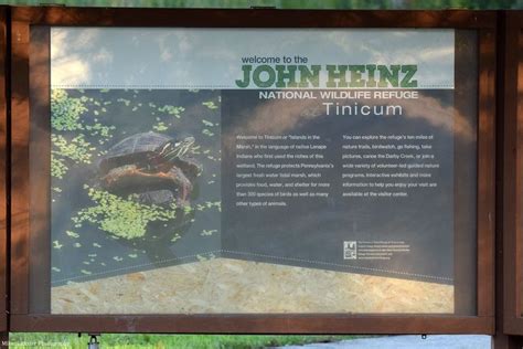 Introduction to the John Heinz Wildlife Refuge Center. | National wildlife refuge, Wildlife ...