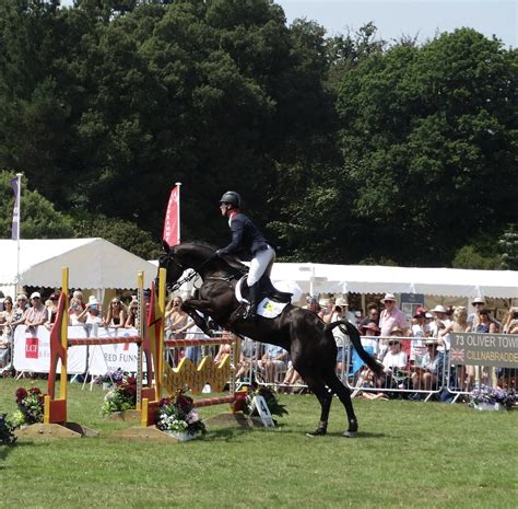 Equine Care Vectis Equine Vets