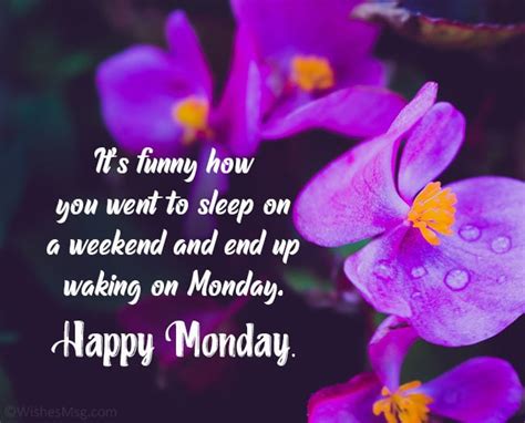 Happy Monday Wishes Messages And Quotes Wishesmsg