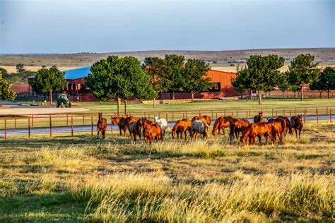 Legendary 6666 Texas Ranch On The Market For 192m After Oil Heiress