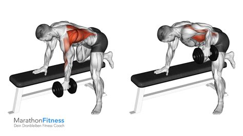 Latissimus Übungen für Deinen breiten Rückenmuskel