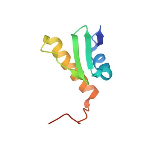 RCSB PDB 2JRO Solution NMR Structure Of SO0334 From Shewanella