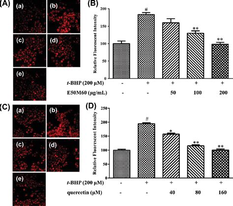 Figure 1 From Bio Assay Guided Identification Of Hepatoprotective