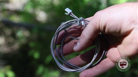 Diy Survival Snares For Trapping Small Animals Youtube