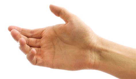 Hands Images, Pictures Download, Hand PNG Transparent Background, Free ...