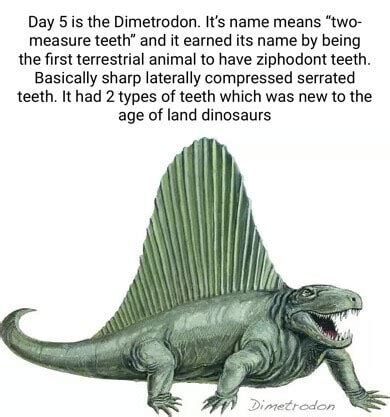 Day Sis The Dimetrodon It S Name Means Two Measure Teeth And It