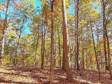 124 Acres of Land for Sale in Dawsonville, Georgia - LandSearch